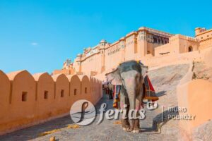 Amber Fort Jaipur, Indie