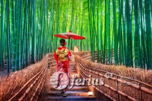 Bambusowy las, Kioto, Japonia