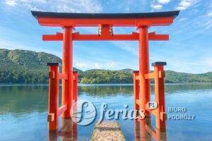 Brama Torii w świątyni Hakone, Japonia
