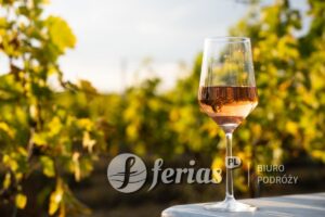 Degustacja wina, Mołdawia