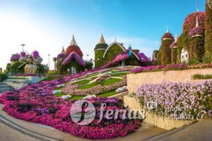 Miracle Garden, Dubai, United Arab Emirates - Apr.13, 2018: More than 50 million blooming flowers throughout the different exhibits.