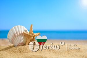 Flaga Bułgarii w kształcie serca i muszli na piaszczystej plaży