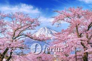 Góra Fuji na wiosnę, Japonia