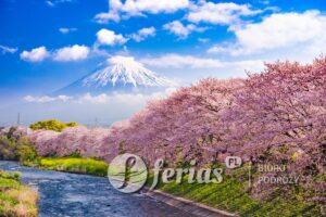 Góra Fuji na wiosnę, Japonia