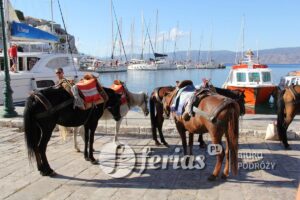 Hydra, wyspa Grecja