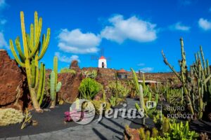 Lanzarote, wyspa