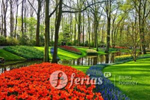 Ogród Keukenhof, Holandia