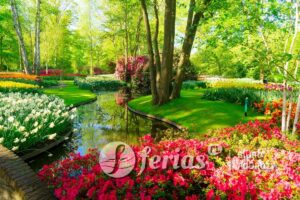 Ogród Keukenhof, Holandia