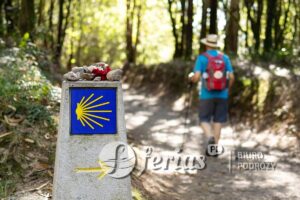 Pielgrzym idzie w kierunku Santiago de Compostela, Hiszpania