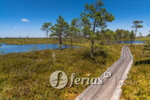 Soomaa National Park, Estonia