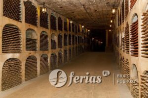 Starożytna podziemna piwnica na wino z rzędami leżakujących butelek, Mołdawia