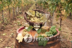 Tokaj, Węgry, białe wino
