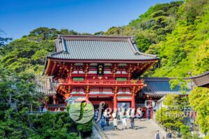 Tsurugaoka Hachimangu świątynia-Kamakura, Japonia