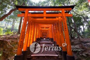 Tysiąc Bram Torii w świątyni Fushimi Inari, Japonia
