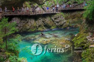 Vintgar-wąwóz Słowenia