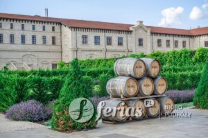 Winnica Mimi Castle, Mołdawia