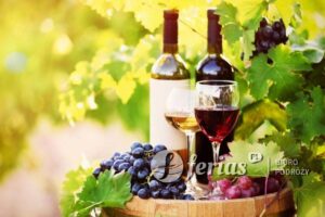 Wino, Chorwacja
