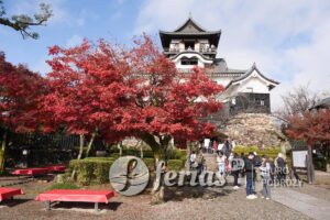 Zamek Inuyama, Japonia