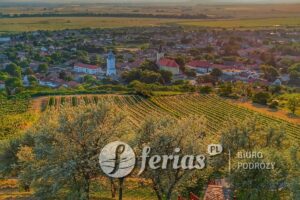 Tarcal, region Tokaj, Węgry